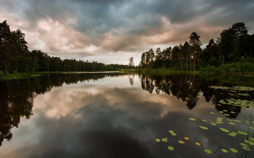 Озеро Реальное Фото