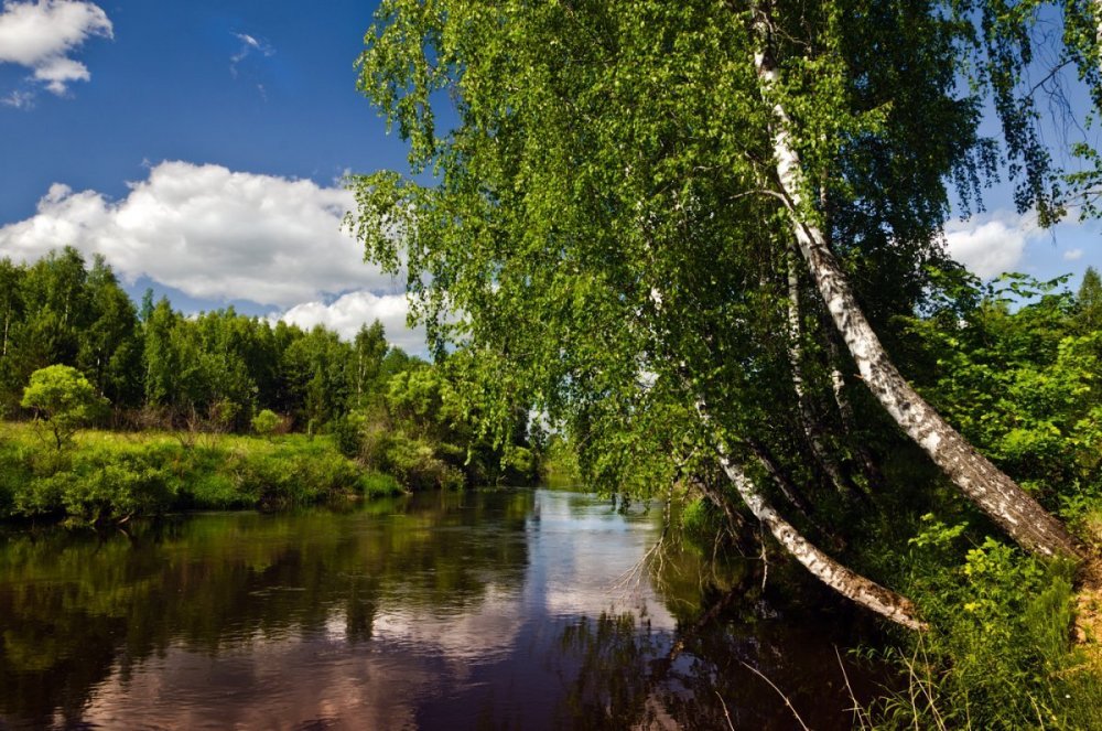 Фото На Природе Любительское